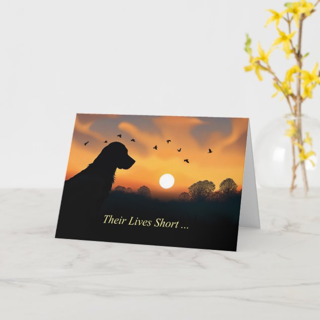 Dog Sympathy Loss of Dog Silhouetted in Sunset  Kort (Gul blomma)