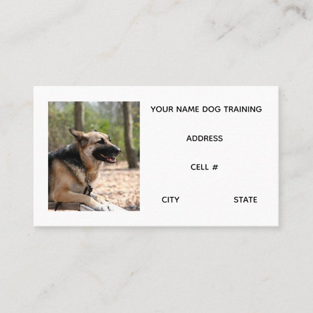 Dog Training Visitkort (Framsida)