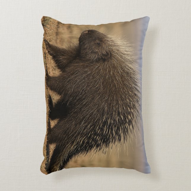 Dog vs. Porcupine Accent Pillow Prydnadskudde (Framsidan(Vertikal))