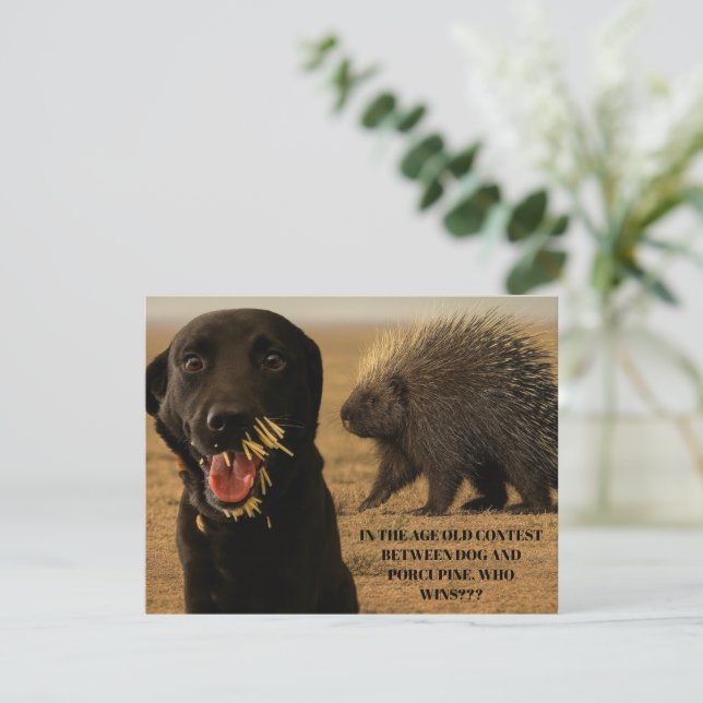 Dog vs. Porcupine Card Anteckningskort (Stående Fram)