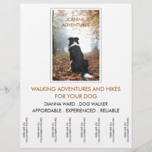 Dog Walker Äventyr Walks and Hikes Reklamblad