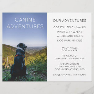 Dog Walker Äventyr Walks Hikes Reklamblad