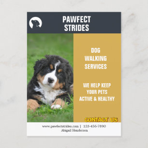 Dog Walker Business Marknadsföring Vykort