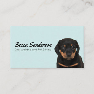Dog Walker, Groomer, Pet Sitter, Vet Winking Hund Visitkort
