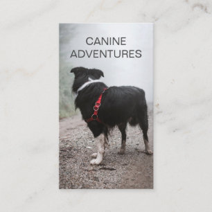 Dog Walker Hund Hikes och Djuromsorg Visitkort