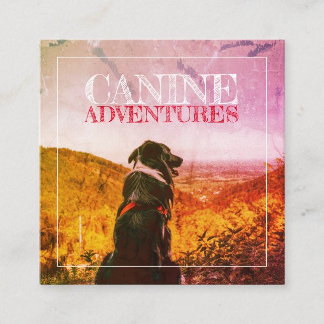 Dog Walker och Hund Äventyr texturerad glöd Fyrkantigt Visitkort (Framsida)