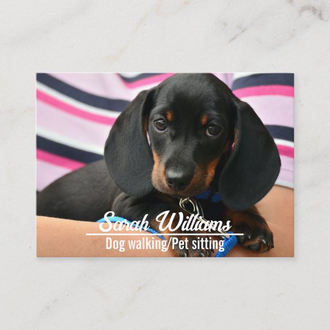 Dog Walker Pet Sitta Care Puppy Visitkort (Framsida)