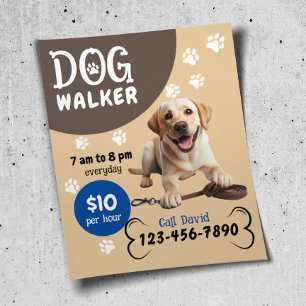 Dog Walker Pet Sitta Lycklig Labrador Retrieve Hun Flygblad
