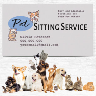 Dog Walker Pet Sitta Services Professionell Visitkort