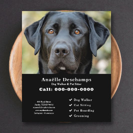 Dog Walker Pet Sitter Anpassningsbar Photo Black F Flygblad