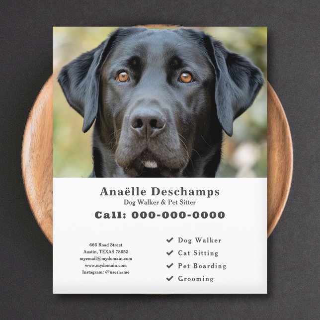 Dog Walker Pet Sitter Anpassningsbar Photo White F Flygblad (Dog Walker Pet Sitter Custom Photo White Flyer)