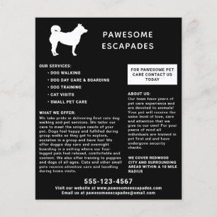 Dog Walker & Pet Sitter Black Flygblad