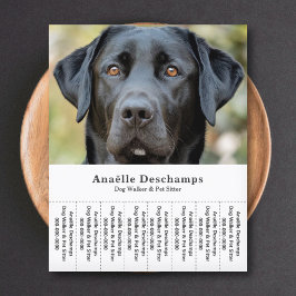 Dog Walker Pet Sitter Photo Tear Av Strips Flyer