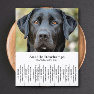 Dog Walker Pet Sitter Photo Tear Av Strips Flyer