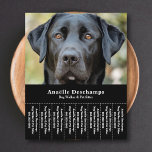 Dog Walker Pet Sitter Photo Tear Av Strips Flyer<br><div class="desc">En elegant och minimalistisk svart flygare med Tear Off Strips med ett foto av ett sött svart labrador,  perfekt för hundpromenader och barnvakt,  Hund Behavior Educator,  groomer. Du kan byta ut fotot mot din egen logotyp! På baksidan finns det en hund mönster!</div>