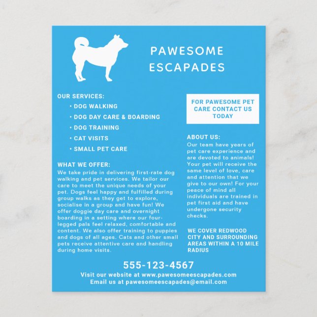 Dog Walker & Pet Sitter Teal Flygblad (Framsidan)