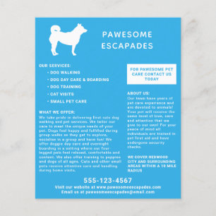 Dog Walker & Pet Sitter Teal Flygblad