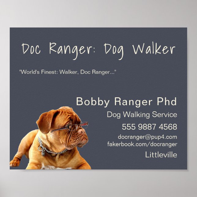 Dog Walker Trainer Photo Advertising Underbar Busi Poster (Framsidan)