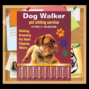 Dog Walker Trustworthy Care Pet Sitta Service Ad