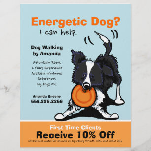 Dog Walker Walking Ad Coupon Gräns Collie Reklamblad