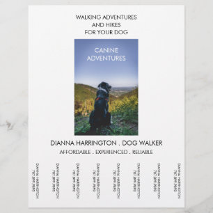 Dog Walker Walking Äventyr Walks and Hikes Reklamblad