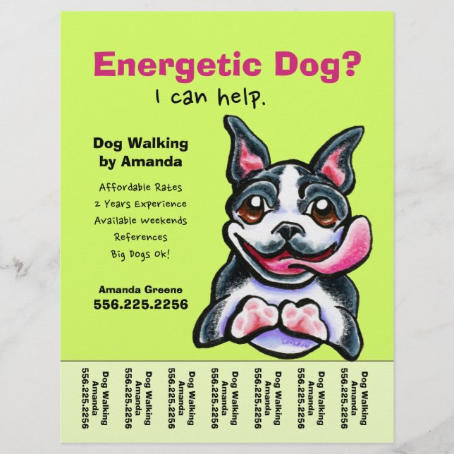 Dog Walker Walking Boston Tear Lakan Reklamblad (Framsidan)