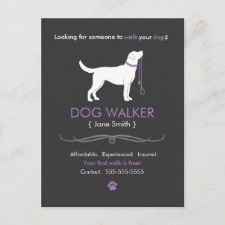 Dog Walker Walking Business Postcard Advertising Vykort