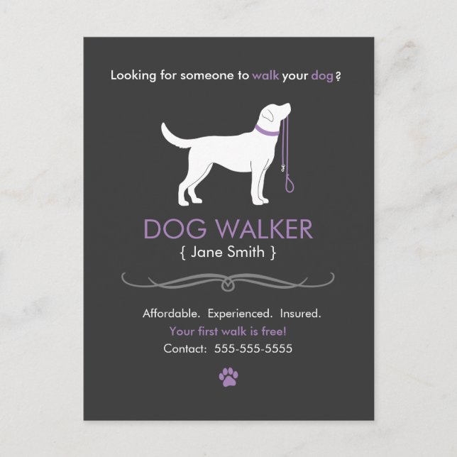 Dog Walker Walking Business Postcard Advertising Vykort (Framsida)