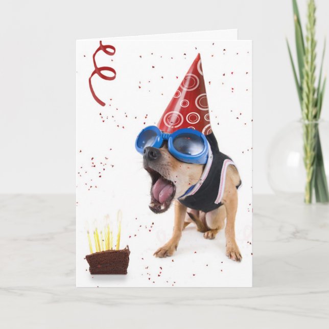 dogcake kort (Framsida)