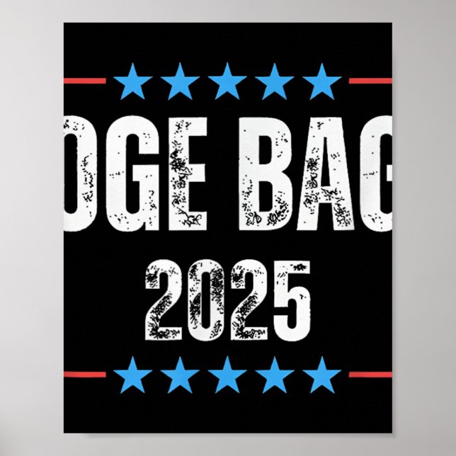 Doge D.o.g.e Department of Government Efficiency A Poster (Framsidan)