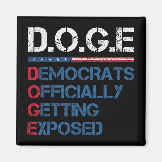 DOGE Department of Government Efficiency Magnet (Framsidan)