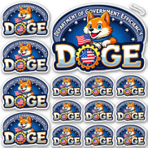 DOGE Department of Government Efficiency Vinyl