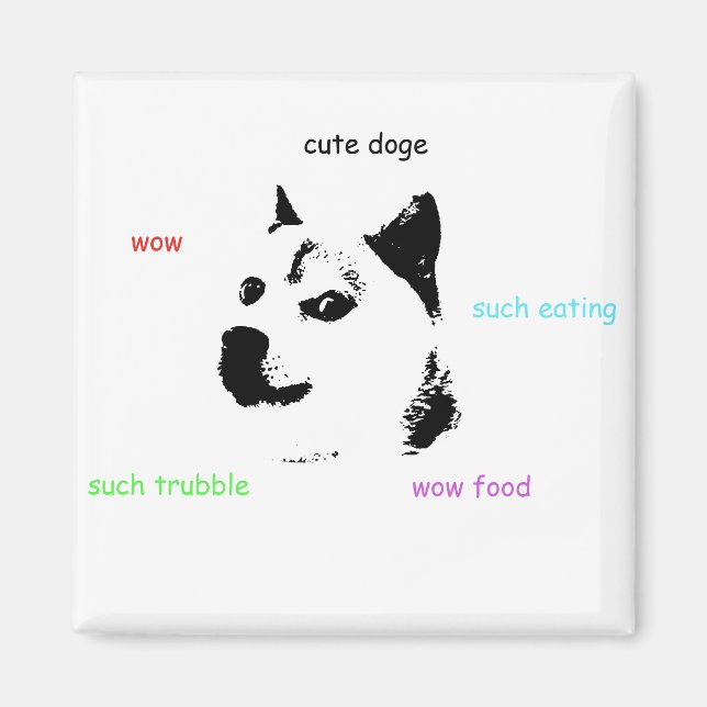 Doge Magnet (Framsidan)