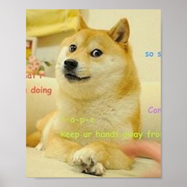 Doge Meme Poster (Framsidan)