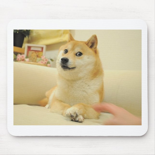 Doge Musmatta (Framsidan)