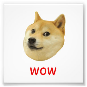 Doge Mycket Wow mycket Hund som Shiba Shibe Inu Fototryck