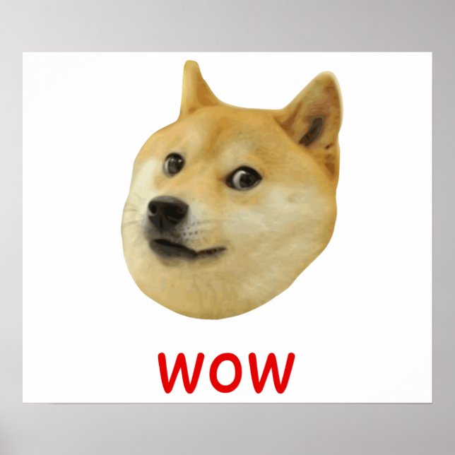 Doge Mycket Wow mycket Hund som Shiba Shibe Inu Poster (Framsidan)