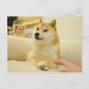Doge Vykort