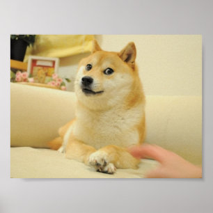 Dogeaffisch Poster