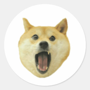 Dogecoin Doge Funny Ansikte Hund Runt Klistermärke