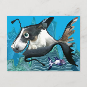 Dogfish Reef Vykort