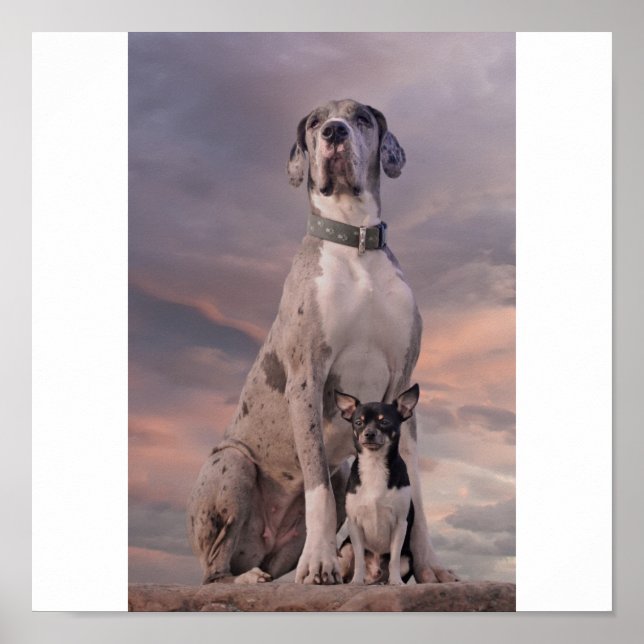 Dogge+Chihuahua Poster (Framsidan)