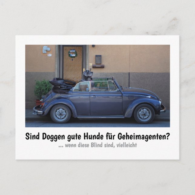 Dogge: der Hund für Geheimagenten  Vykort (Framsida)