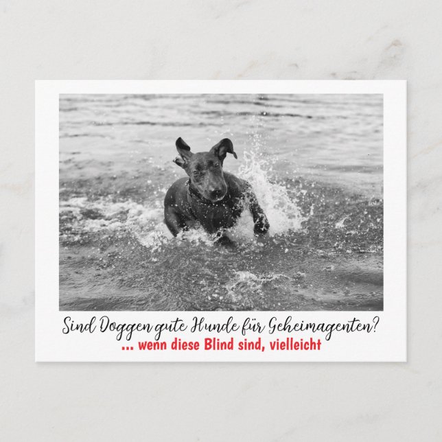 Dogge: der Hund für Geheimagenten  Vykort (Framsida)