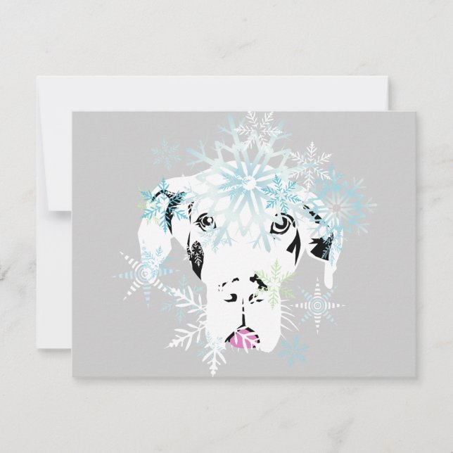 Doggenhaus (Framsida)