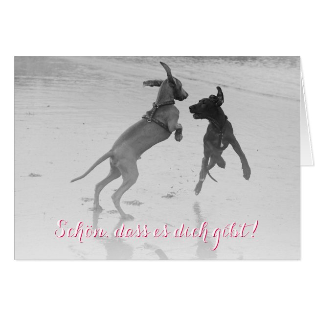 Doggenkarte ’Schön’ Hälsningskort (Framsidan Horizontal)