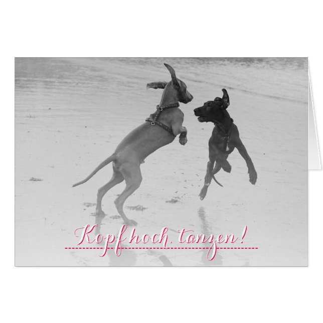 Doggenkarte ’Tanzen’ OBS Kort (Framsidan Horizontal)