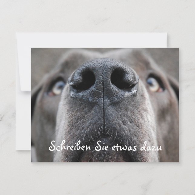 Doggennosa (Framsida)