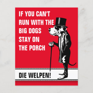 Doggenvalpar Flyer för hunduppfödare