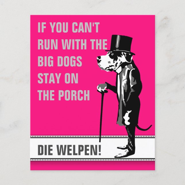 Doggenwelpen Flyer für Hundezüchter (Framsidan)